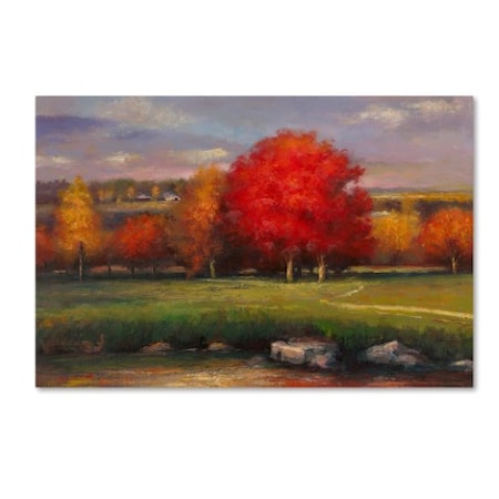 Daniel Moises 'Sunset' Canvas Art,30x47